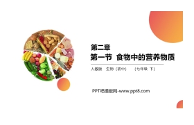 《食物中的营养物质》PPT精品课件