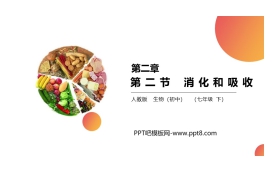 《消化和吸收》PPT精品课件