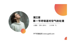 《呼吸道对空气的处理》PPT精品课件