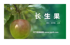 《长生果》PPT精品课件