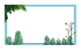 两张白色卡片绿色植物叶子PPT背景图片