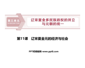 《辽宋夏金元的经济与社会》PPT免费课件下载