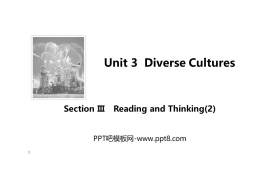 《Diverse Cultures》SectionⅢ PPT课件