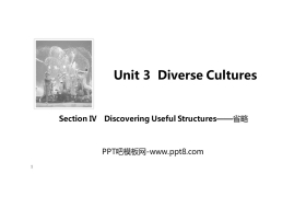 《Diverse Cultures》SectionⅣ PPT课件