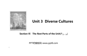 《Diverse Cultures》SectionⅥ PPT课件