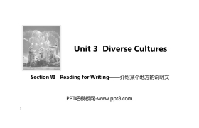 《Diverse Cultures》SectionⅦ PPT课件