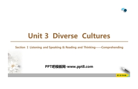 《Diverse Cultures》SectionⅠ PPT课件下载