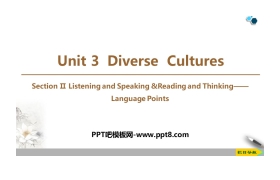 《Diverse Cultures》SectionⅡ PPT课件下载