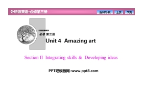 《Amazing art》SectionⅡ PPT课件