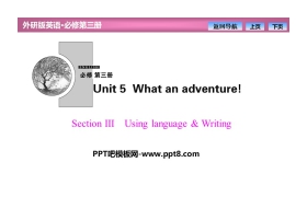 《What an adventure!》SectionⅢ PPT课件