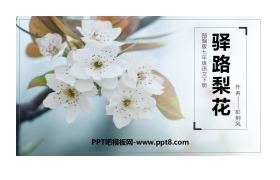 《驿路梨花》PPT精品课件