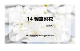 《驿路梨花》PPT优质课件