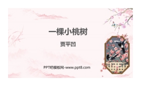 《一棵小桃树》PPT课件下载