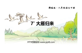 《大雁归来》PPT教学课件