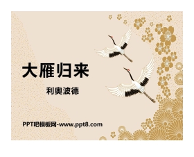 《大雁归来》PPT免费课件