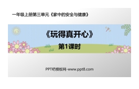 《玩的真开心》PPT课件(第1课时)