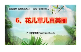 《花儿草儿真美丽》PPT课件下载