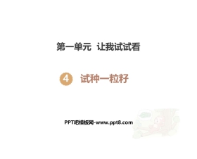 《试种一粒籽》PPT教学课件