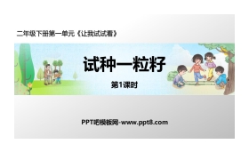 《试种一粒籽》PPT课件(第1课时)