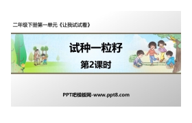 《试种一粒籽》PPT课件(第2课时)