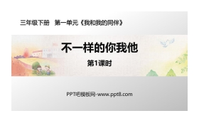 《不一样的你我他》PPT课件(第1课时)