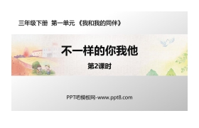 《不一样的你我他》PPT课件(第2课时)