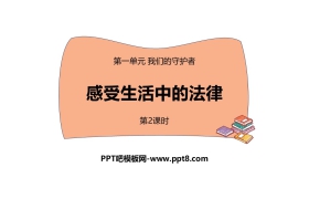 《感受生活中的法律》PPT下载(第2课时)