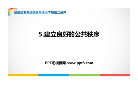 《建立良好的公共秩序》PPT课件