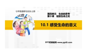 《感受生命的意义》PPT教学课件