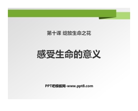 《感受生命的意义》PPT课件下载