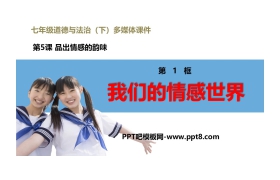 《我们的情感世界》PPT免费下载