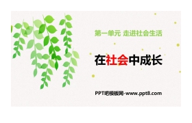 《在社会中成长》PPT课件