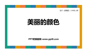 《美丽的颜色》PPT精品课件下载