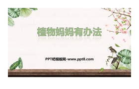 《植物妈妈有办法》PPT优质课件免费下载