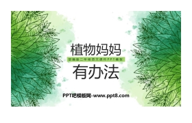 《植物妈妈有办法》PPT免费课件下载