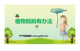 《植物妈妈有办法》PPT课文课件