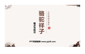 《<骆驼祥子>圈点与批注》PPT教学课件