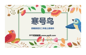 《寒号鸟》PPT教学课件