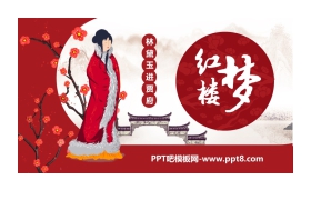 《林黛玉进贾府》PPT课文课件