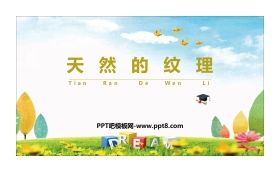 《天然的纹理》PPT课件下载