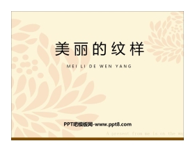 《美丽的纹样》PPT精品课件