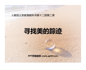 《寻找美的踪迹》PPT课件下载