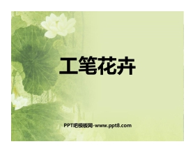 《工笔花卉》PPT免费课件