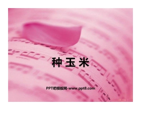 《种玉米》PPT教学课件