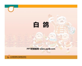 《白鸽》PPT教学课件