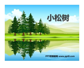 《小松树》PPT教学课件