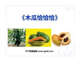 《木瓜恰恰恰》PPT教学课件