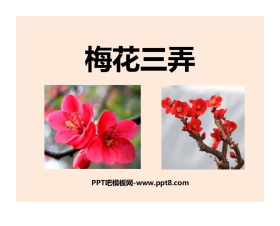 《梅花三弄》PPT课件下载