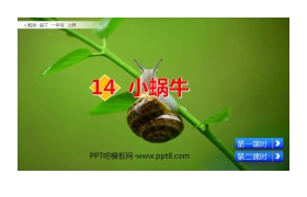 《小蜗牛》PPT教学课件