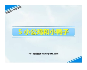 《小公鸡和小鸭子》PPT优秀课件